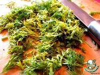 ����� "�������" �����������