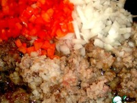 ������������ �������� �����������