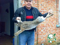 ���� � ������� �����������