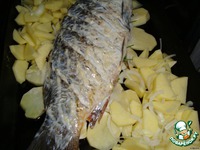 ���������� ���� �����������