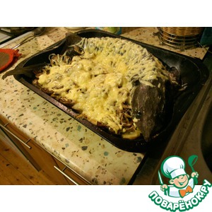 ����� ��� ������