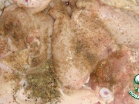 ������ � ����� �����������