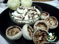 ������ � ������� ������ �����������