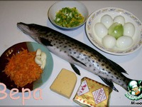 ������������� ���� �����������