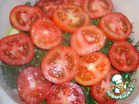 ������� "��������" �����������