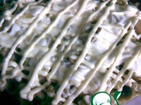 ���� ��� ������� ������ �����������