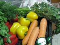 ������ � ������� �����������