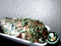 ������� ������������ �����������