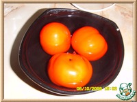 ����� � ����� � ����� � �������� �����������