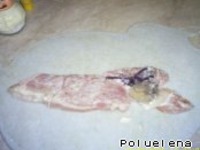 �������� � ������� �����������