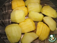 ���������-�������� ����� �����������