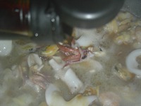 "������� ��������" � ������� ���������� �����������