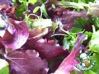 �������-����� � ��������� � ����������� �������� �����������