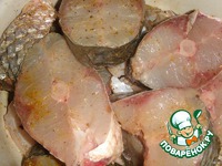 ���� � ������ �����������