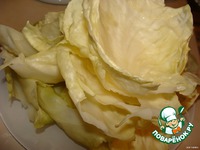 ������� "�������" �����������