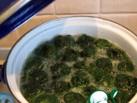 ������� ������ �����������