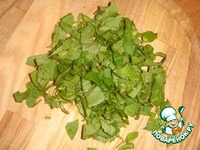 ���������-������ �������� �����������