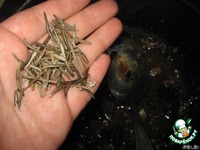 �������� � ������ �������� � ����� �����������