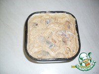 ������ "�������" �����������