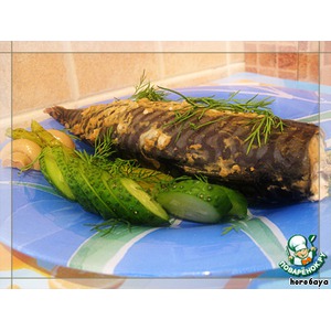 �������� ���������