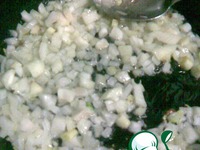 ������������ �������� �����������