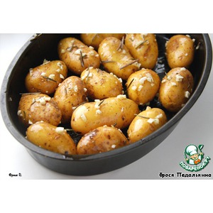 ���������, ���������� � ��������� ����� � ����������