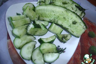 ������: ��������-������