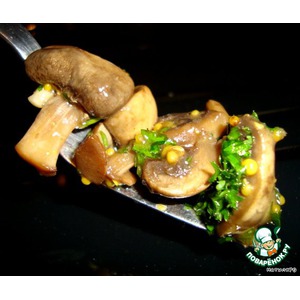 ������� ������������ ����������