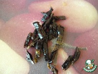 ������� ����� � ������ � ����������� �����������