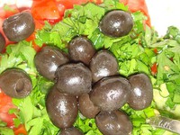 ������ ����� �� ������� �����������