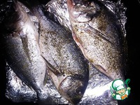 �����a � ���������� �����������