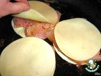 ������� ����, ���������� � ���� �����������