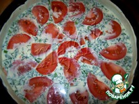 �����-��������� ���-����� � ���������� � ������� �����������