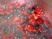 ������  "����������" �����������