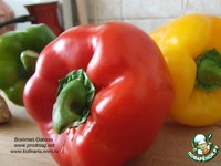 ������� � �����-������� ����� �����������