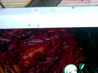 ����� "�������" �����������