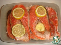 ������ ���� � ���� ��������� "������" �����������