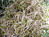 ����� "���� ������������ - 2 " �����������