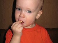 ������� �������� �����������