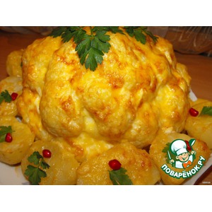 ������� ������� "�����"