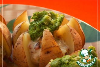 ������: ��������-����������