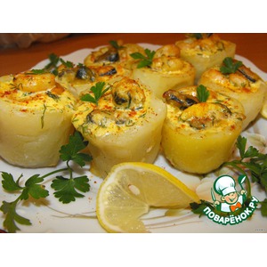 ������������ ���������� � ��������������