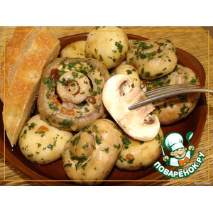 ������ ������� �� �����������