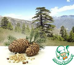 ������ �������� ������