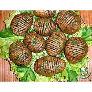 ������������ ��������