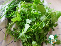 ����� � �������� �����������