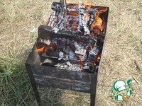 ������ "����-���" �����������