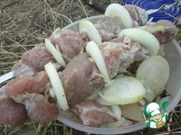 ������ "����-���" �����������