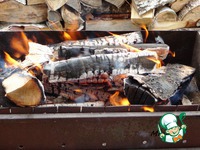 ����� ������� ������ �����������