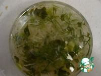 ������������ �������� �������� �������� �����������